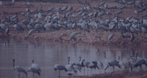 desert national park